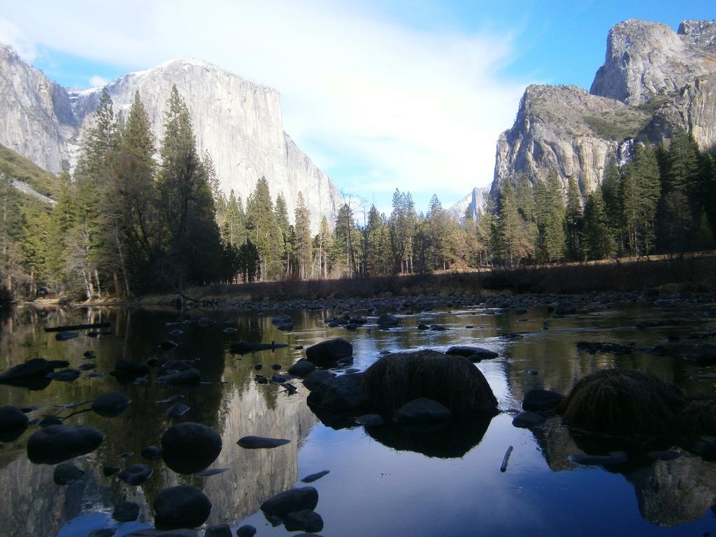 Nature'S Inn Bed And Breakfast Ahwahnee Extérieur photo